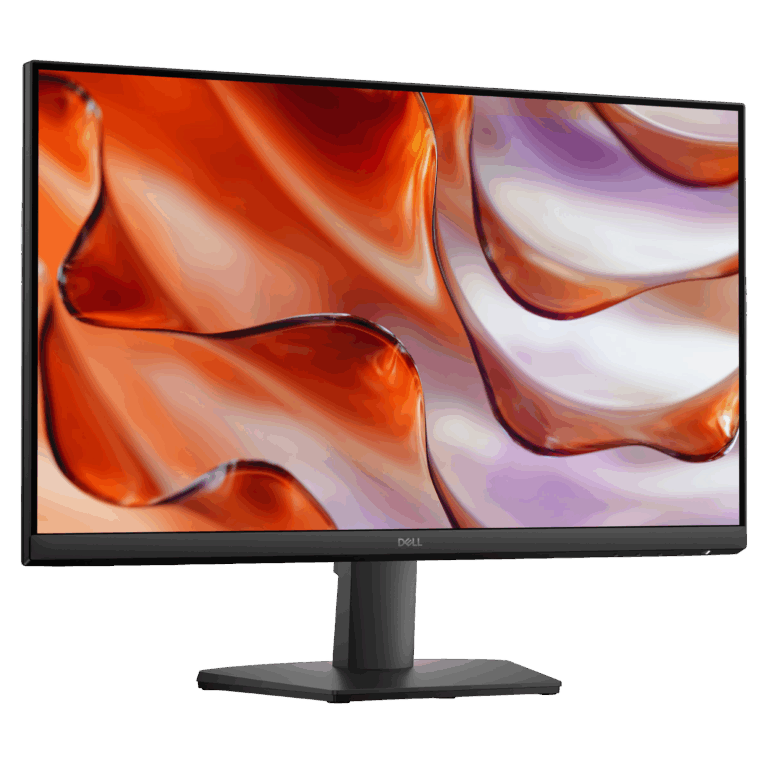 monitor dell santo domingo