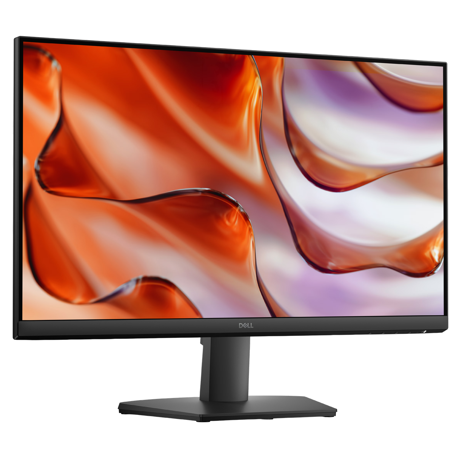 monitor dell santo domingo
