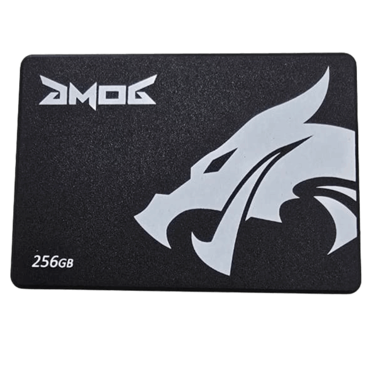 SSD Golden Memory 256GB o SSD GMOG 256GB